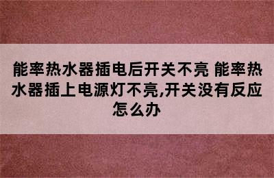 能率热水器插电后开关不亮 能率热水器插上电源灯不亮,开关没有反应怎么办